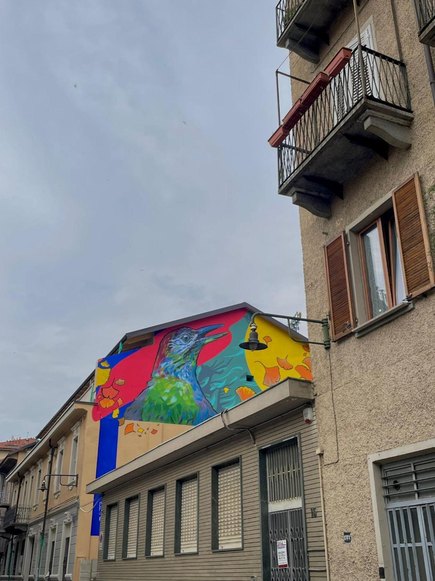 Musine House Torino